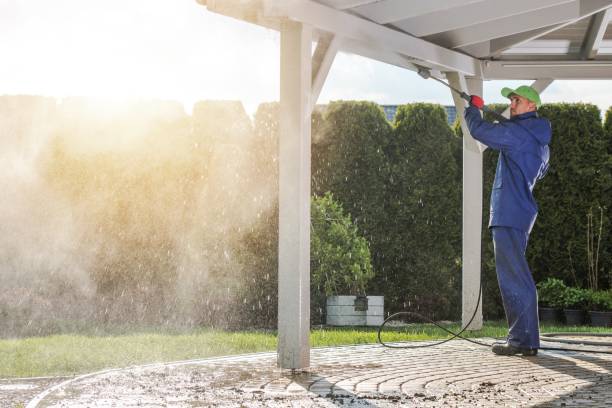 Best Spring Cleaning  in Upton, WY